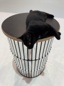 WhatsApp attēls 2025-12-09 plkst. 13.38.28_ce511db4